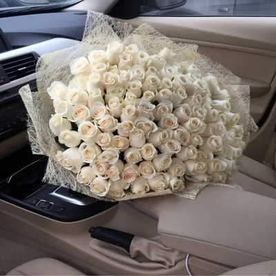 Фото белых роз с высокой четкостью доступно в png формате