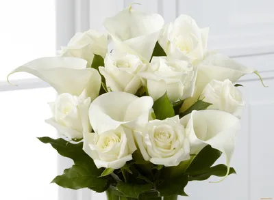 Белые розы в качественном формате jpg на странице с изображениями
