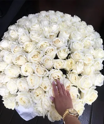 Фото белых роз с возможностью выбора размера изображения