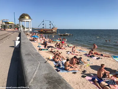 Фото Бердянского пляжа с птицами