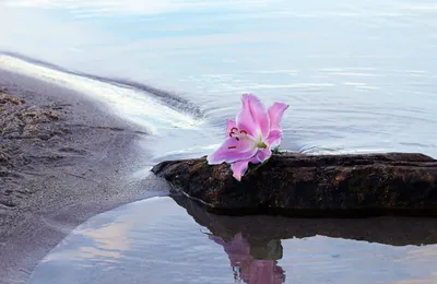 Бесплатный вебп фон с видом на море