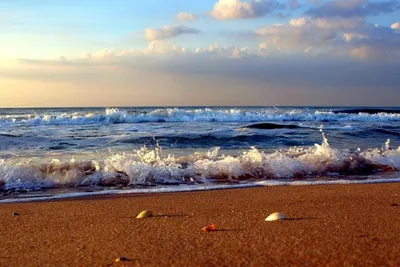 Арт-фото Берегового крымского пляжа на закате