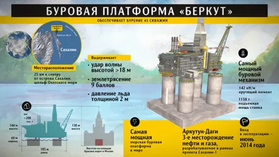 Фотки Беркута: скачайте их в любом формате, который вам нравится