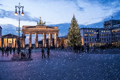 Зимний великолепие Берлина: Исключительные фотографии