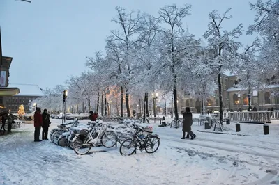 Фотографии зимнего чуда: Берлин в каждом кадре