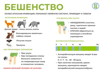 Фотографии бешенства у человека: WebP с возможностью выбора размера