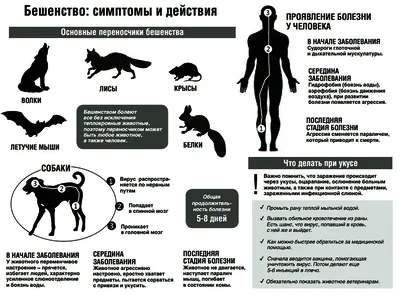 Эксклюзивные снимки человеческого бешенства: формат WebP