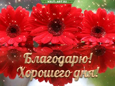 Изображения дня: новое, в формате JPG, PNG, WebP