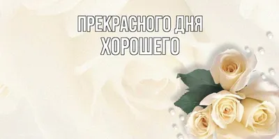 Картинка дня: бесплатные фотки