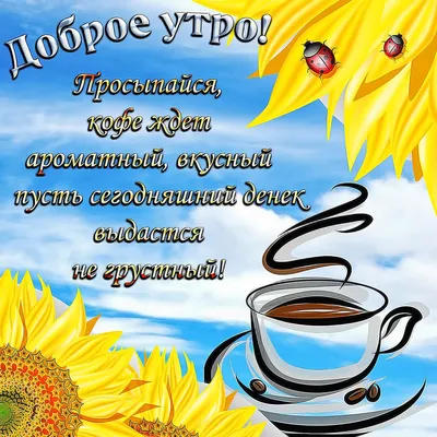 Фотографии для теплого и доброго утра!