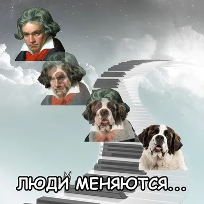 Главные актеры фильма Бетховен: музыкальный гений в каменных стенах