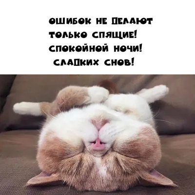 Фотографии, которые вызовут у вас смех!