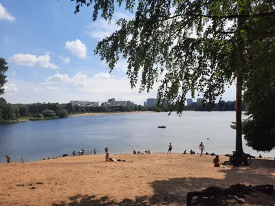 Загадочное Безымянное озеро в Санкт-Петербурге: увлекательные фотоэкскурсии