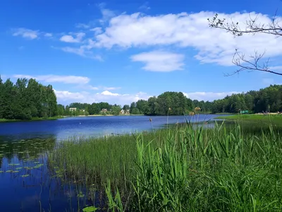 4K фотка Безымянного озера в Санкт-Петербурге