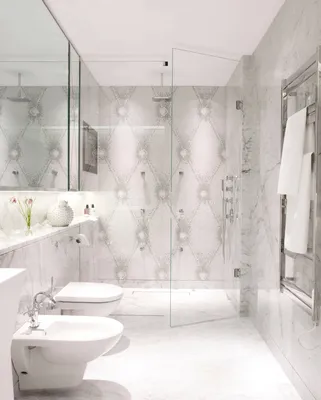 Фотографии современных ванных комнат с элегантными биде