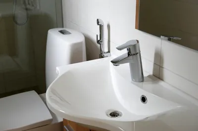 Фотографии стильных ванных комнат с просторными биде