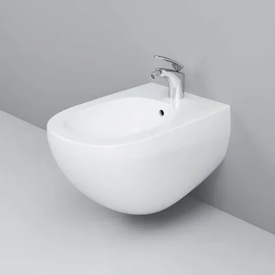 Фото биде в ванной: топовые дизайнерские решения для роскошного интерьера
