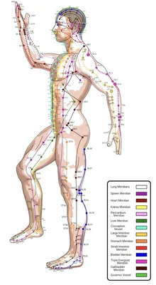 Фото человеческих биологически активных точек: Шаг в мир здоровья