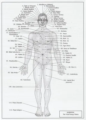 Фото человеческих биологически активных точек: Детали и особенности