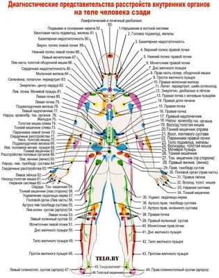 Биологически активные точки на теле человека фотографии