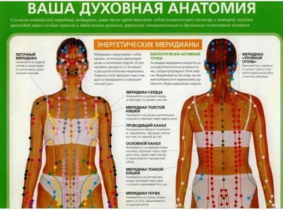 Фотографии биоактивных точек: Обзор визуальных данных