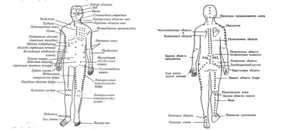 Фотографии биологически активных точек: Секреты человеческого тела