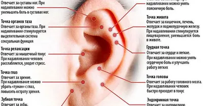 Фото человеческих биоактивных точек: Практическое применение знаний