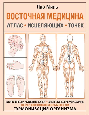 Изображения биоактивных точек в формате PNG: Ваш выбор