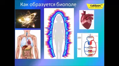 Изображение биополя человека в формате JPG: настройте параметры