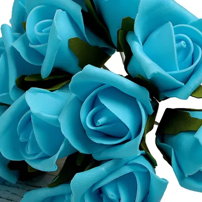 Бирюзовые розы: изображение с привлекательным фоном webp