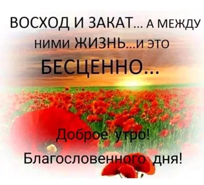 Красивые картинки для вдохновения