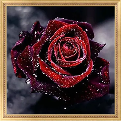 Фото блестящих роз в нежной розовой гамме