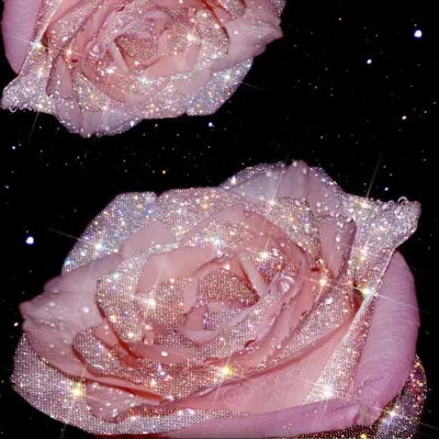 Фото блестящих роз в яркой красной цветовой гамме