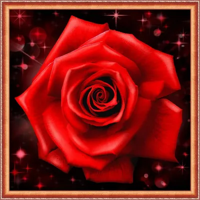Фото блестящих роз в формате jpg - идеальный выбор для дизайна
