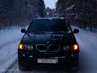 Фотографии BMW X5 под покрывалом снега: Подберите размер и формат