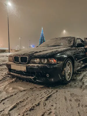 Зимний портрет: Уникальные изображения БМВ для выбора