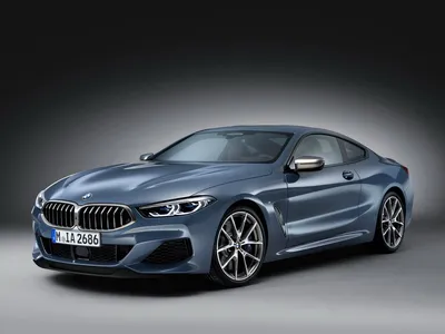 Фото BMW M850i Gran Coupe 2023: лучшие кадры на одной странице