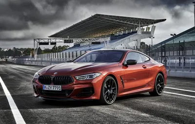 Изображения BMW M850i xDrive 2023 на фоне природы