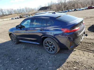 BMW X4 2023 на фоне природы