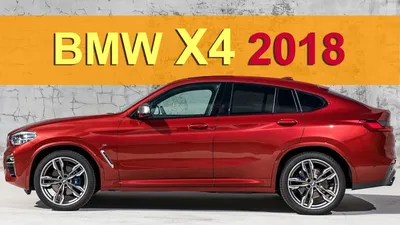 BMW X4 2023: обзор в фотографиях