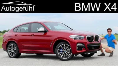 BMW X4 2023: фото для любителей автомобилей