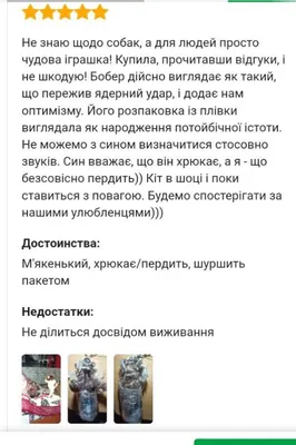 Новые смешные фото с бобрами: не упустите возможность посмеяться!