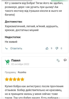 Бобры и их забавные выходки: не упустите эту возможность посмеяться!