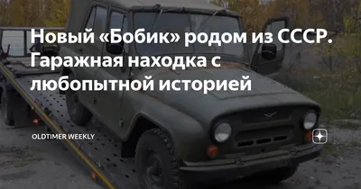 Фотка Бобика машины в высоком разрешении