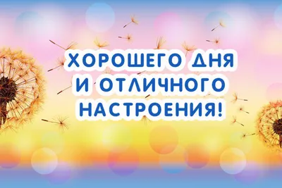 Фотографии, чтобы поднять настроение