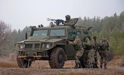 Боевая машина тигр в фотоформате: скачайте и насладитесь