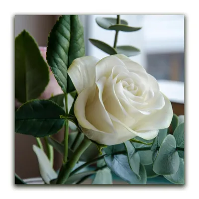 Очаровательная картинка бокаловидных роз