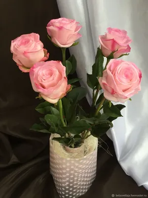 Красивая картинка бокаловидных роз