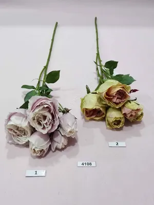 Уникальное фото превосходных бокаловидных роз