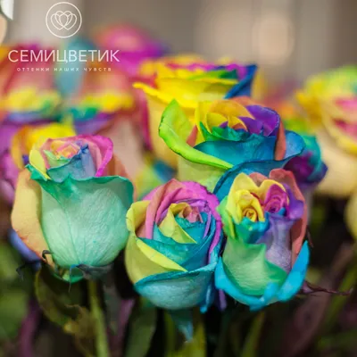 Фото бокаловидных роз с поразительной красотой